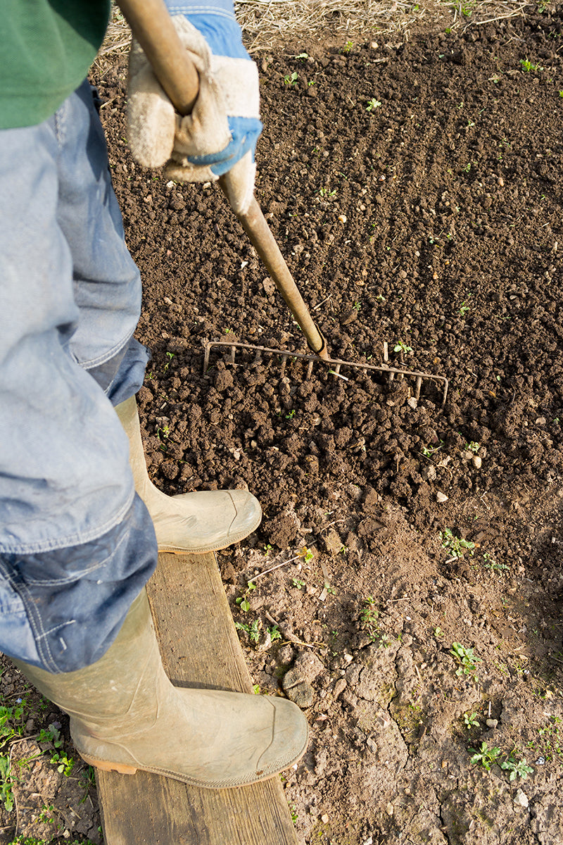 les outils de base du jardin 1 travail du sol et plantations blog oleomac